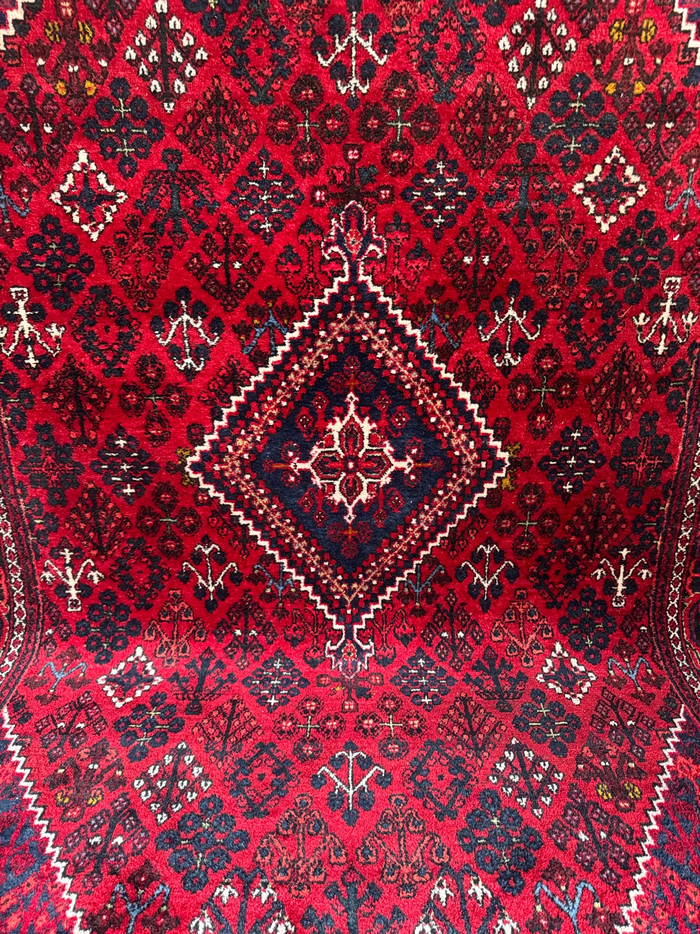 Handmade Persian Joshegan Rug
330 x 230 cm | 10.8 x 7.5 ft