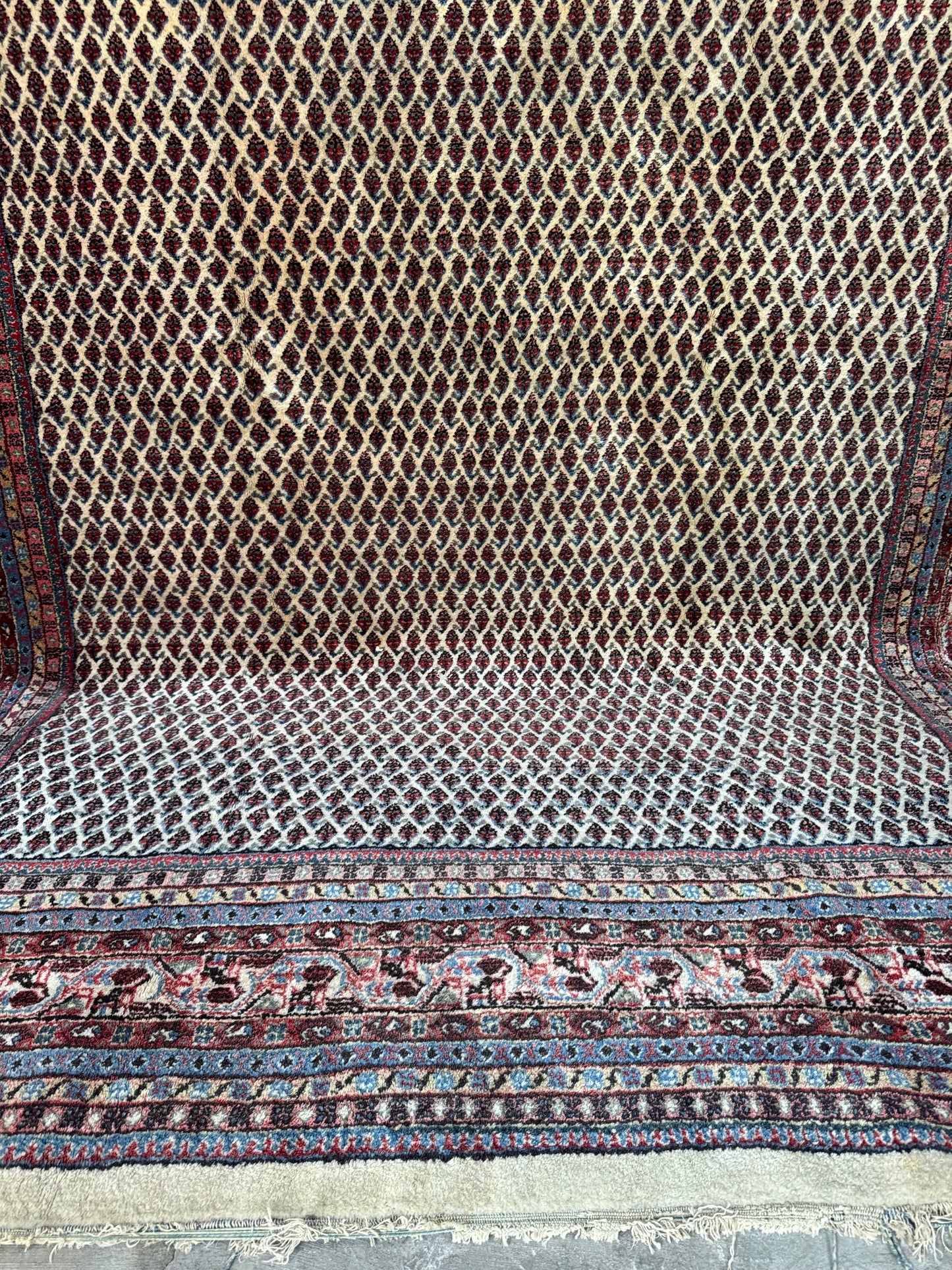 Handmade Persian Sarouk Mir 320 x 244 cm | 10.5 x 8 ft