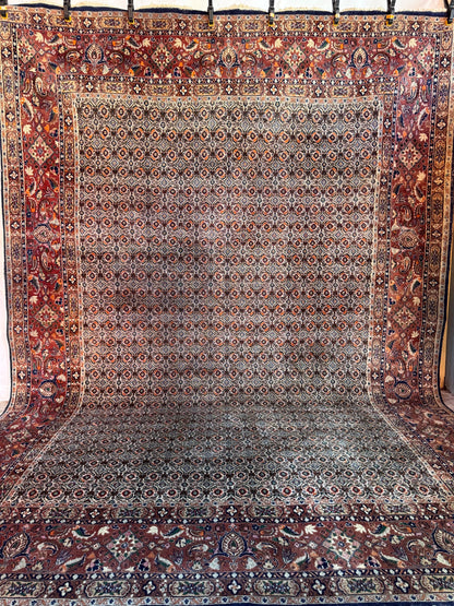 Handmade Persian Moud Rug 355 x 255 cm | 11.6 x 8.3 ft