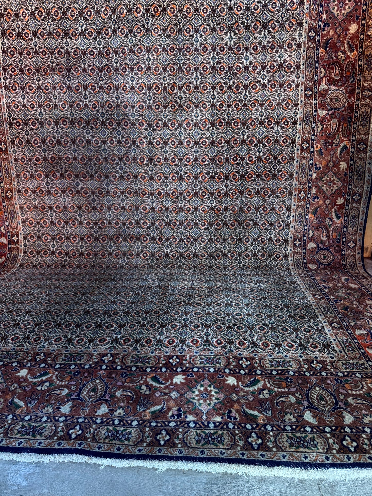 Handmade Persian Moud Rug 355 x 255 cm | 11.6 x 8.3 ft
