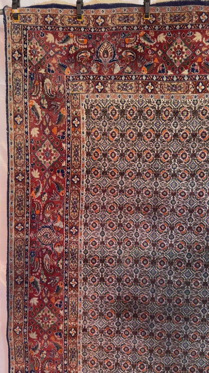 Handmade Persian Moud Rug 355 x 255 cm | 11.6 x 8.3 ft