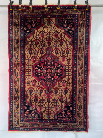 Handmade Persian Hosseinabad Rug 160 x 105 cm | 5.25 x 3.44 ft